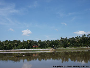 Ferry crossing Pampa river