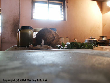 Vijana Kala Vedi Cultural Centre kitchen