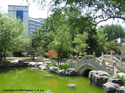 Beijing Language and Culture University