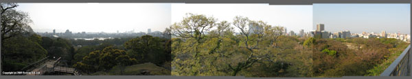 View from Fukuoka Castle Ruins