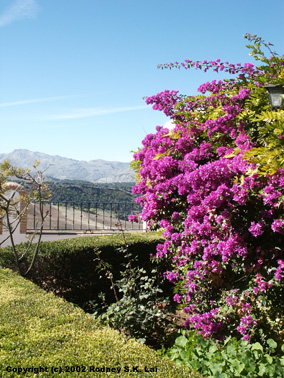 Palacio de Mondragon