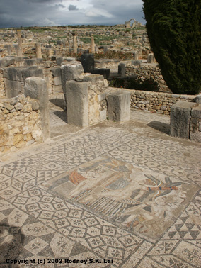 House of Venus