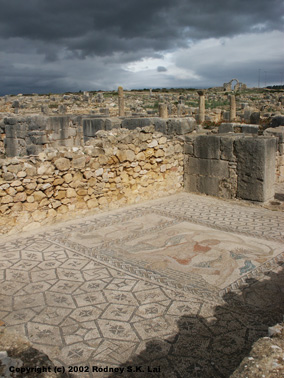 House of Venus