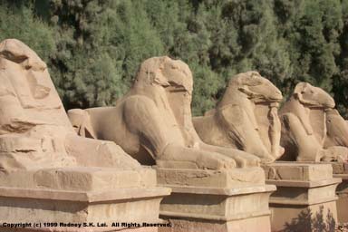 Avenue of Ram-headed Sphinxes