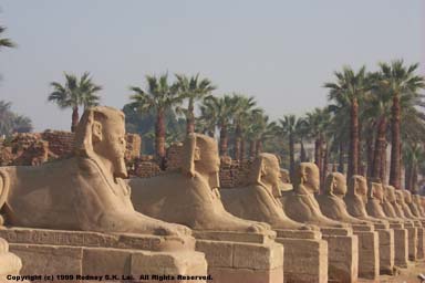 Avenue of Sphinxes