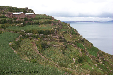 Terraces and farm house on Isla Taquile