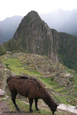View from Hut of the Caretaker