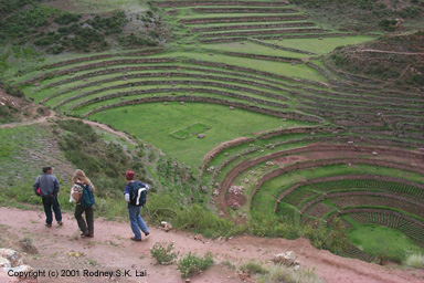 Moray experimental agricultural terraces