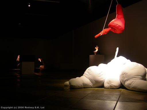 Museu de Arte de Santa Catarina