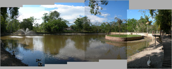 Parque Ecologico Municipal Prof Joao David Ferreira Lima Corrego Grande Panarama