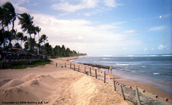 Turtle hatchery at Projeto Tamar