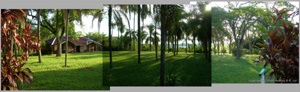 Horacio Quiroga House Panarama