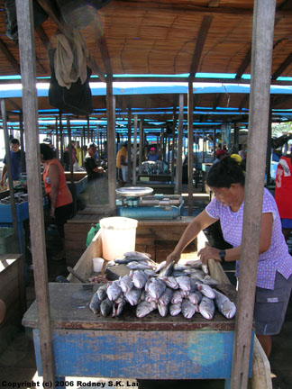 Market
