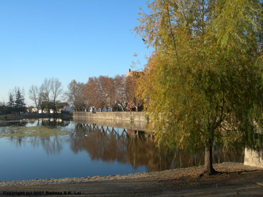 Tajamar