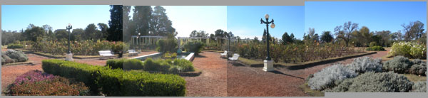 Rose Garden - Parque Sarmiento Panarama
