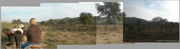 Estancia Sandañil Panarama