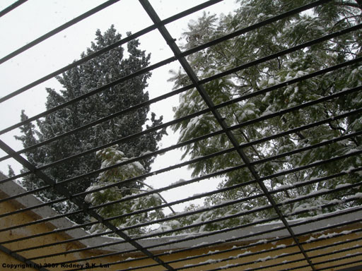 Patio de Gisela