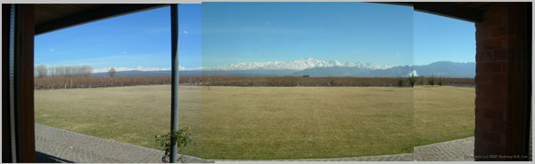 View from Bodega Ruca Malen Panarama